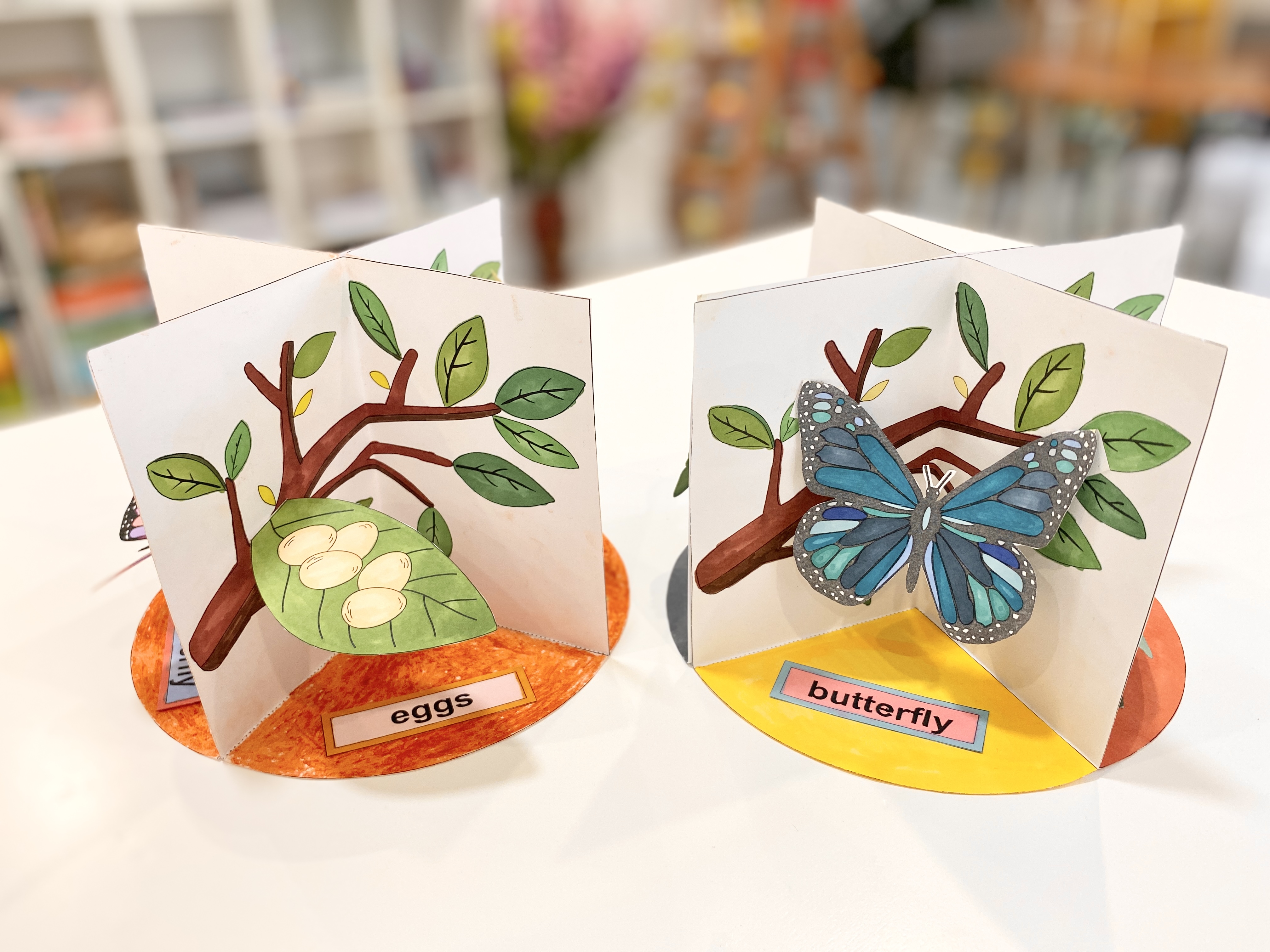 MÔ HÌNH VÒNG ĐỜI CỦA BƯỚM (Tặng Stickers tiếng Anh chủ đề Thiên nhiên)