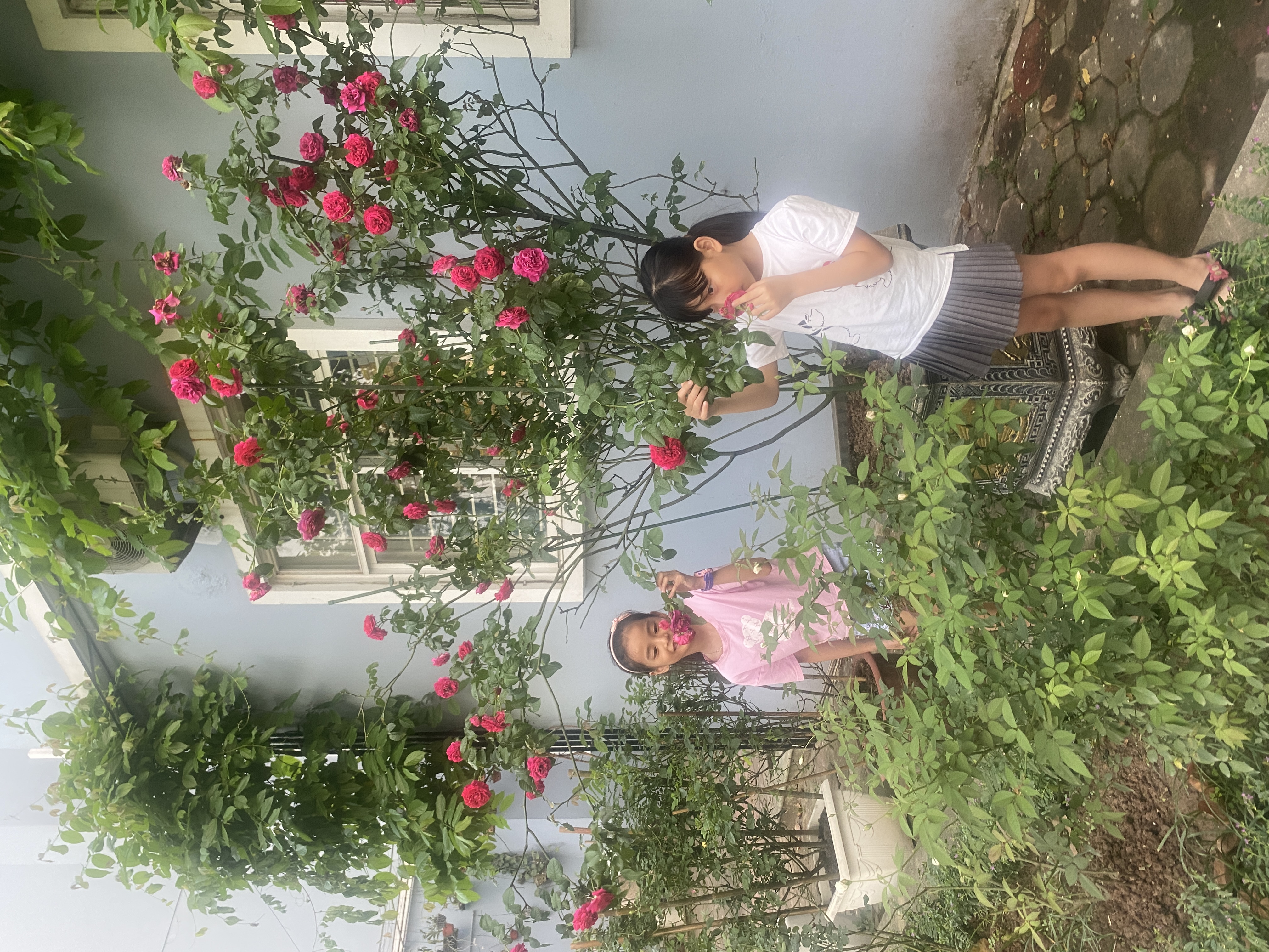THỰC HÀNH NÓI TIẾNG ANH CÙNG CON 